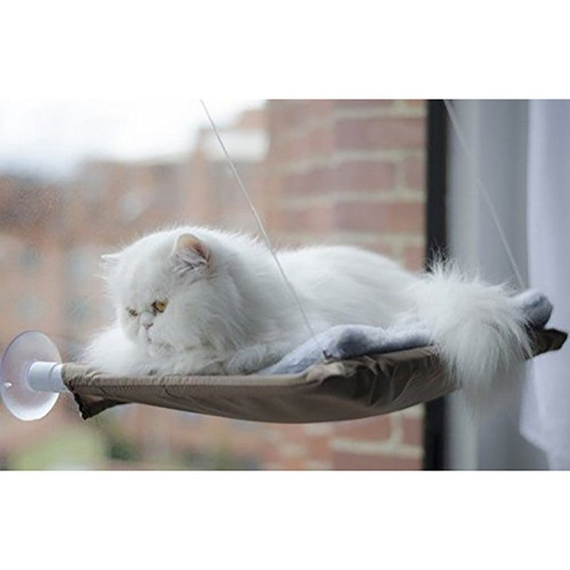 Gato en una hamaca